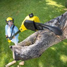 Best Artificial Turf Installation  in Ashland, CA